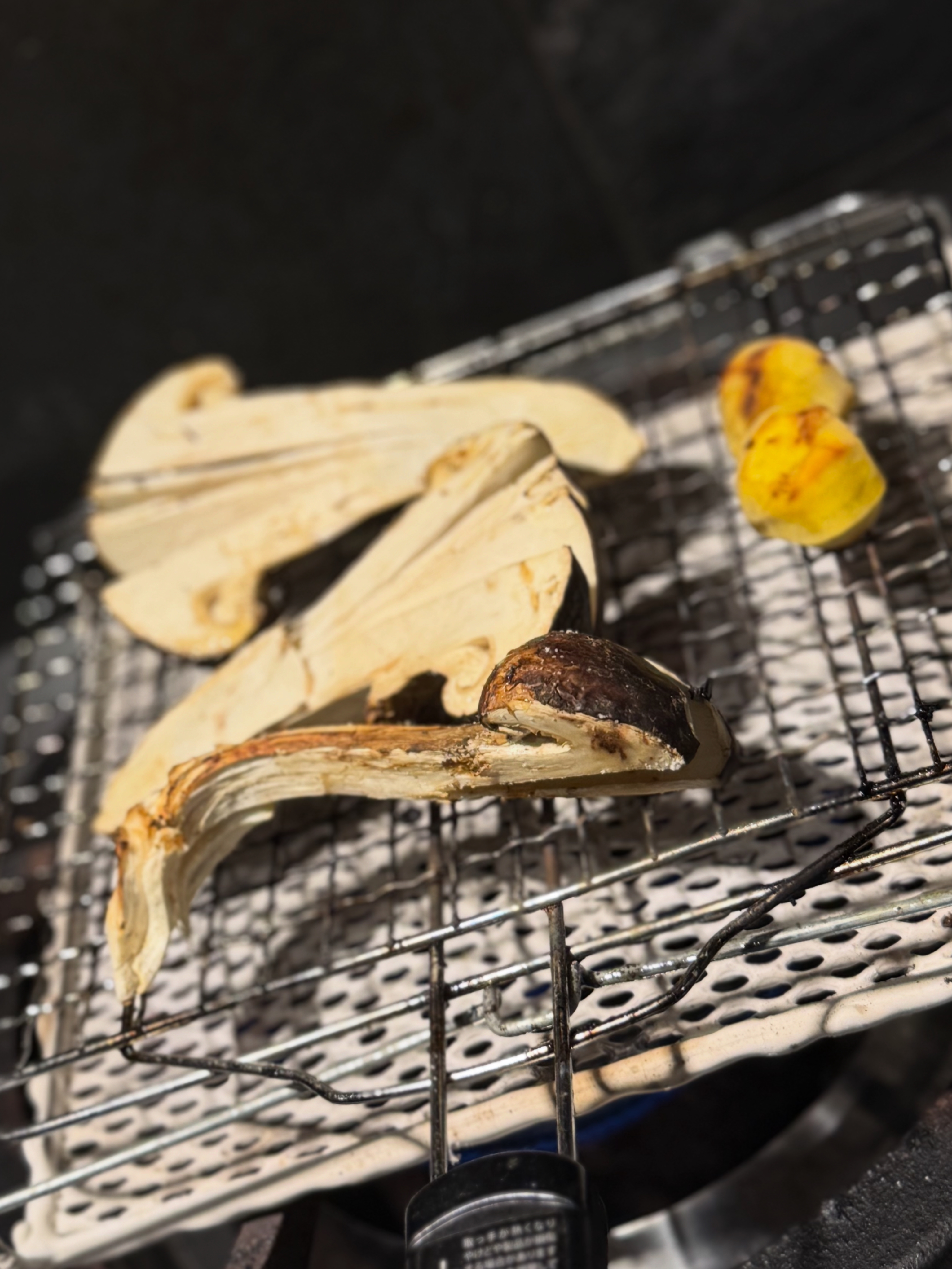 【秋の特別コース】松茸土瓶蒸し、天麩羅7種など全7品