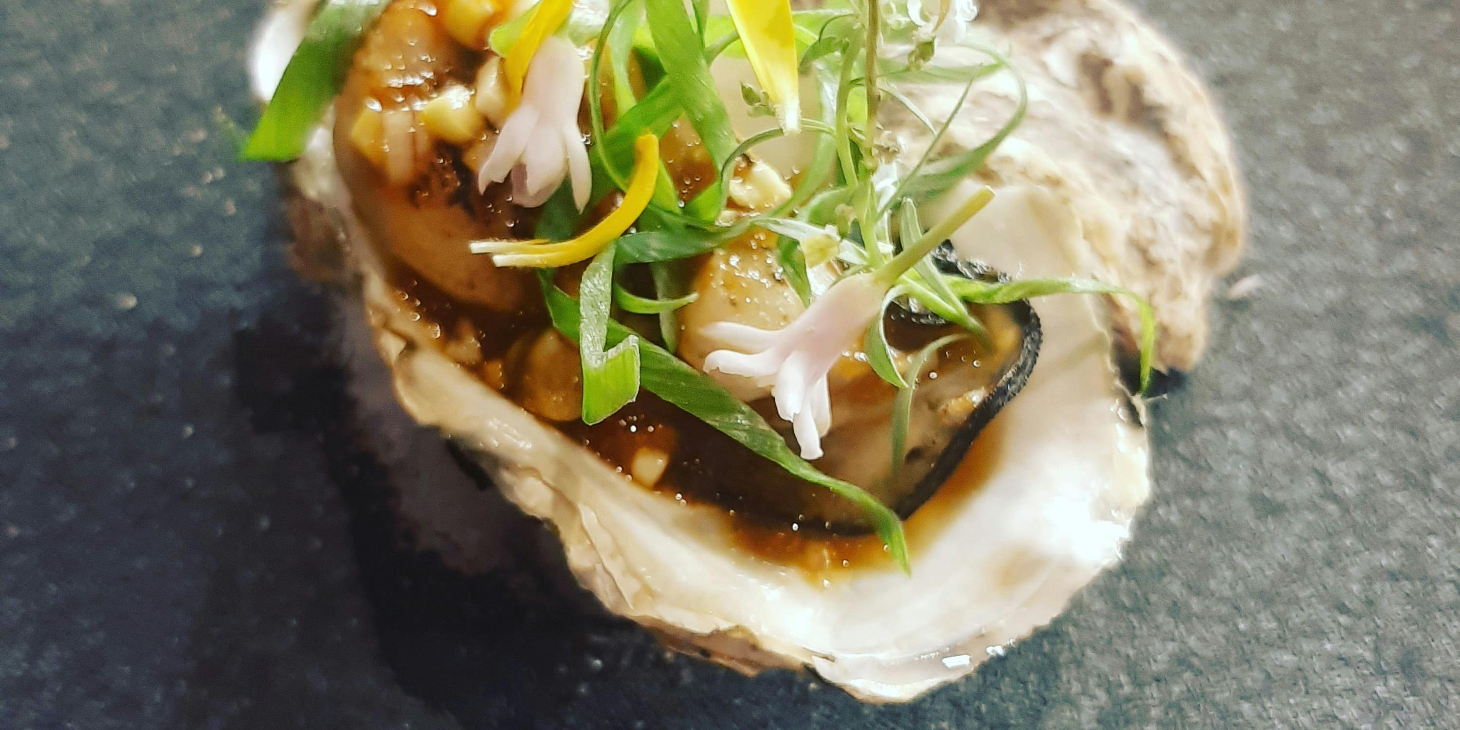 Omakase San [Celebration Anniversary Plan] *Can also be used for business entertainment, etc.