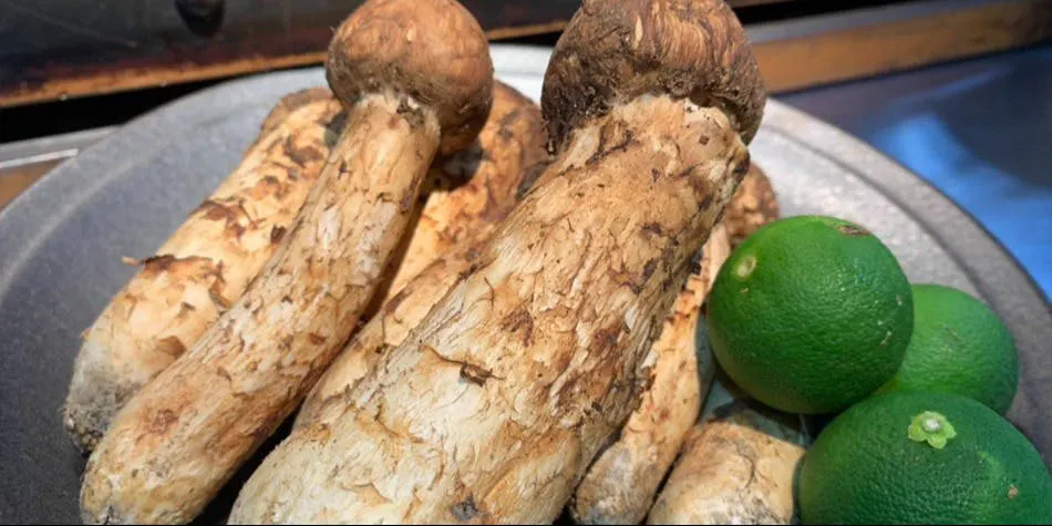 三田牛竈炭火焼ウェスタ