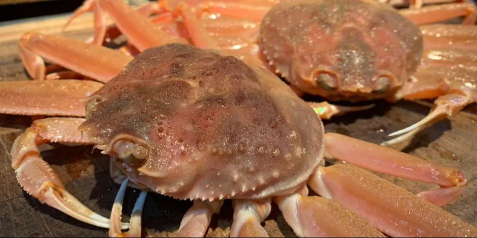 三田牛竈炭火焼ウェスタ