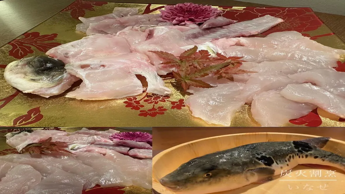 【활 복어 코스】전채, 복어 껍질 유비키, 복어 회, 복어 전골 등