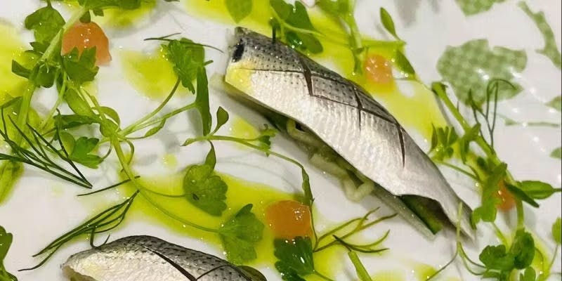ディナー】Cena C シェフのおまかせスペシャルコース 全9皿