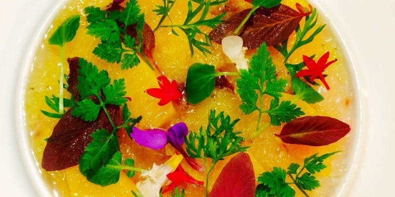 [Seasonal Farmer's Short Course] 6 Dishes Total