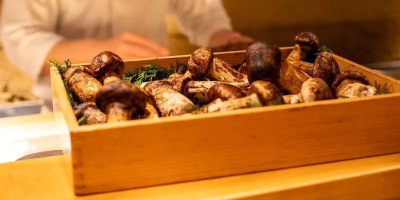 接待・ご会食にオススメ 10月は松茸、仙台牛 四季を感じるおまかせコース