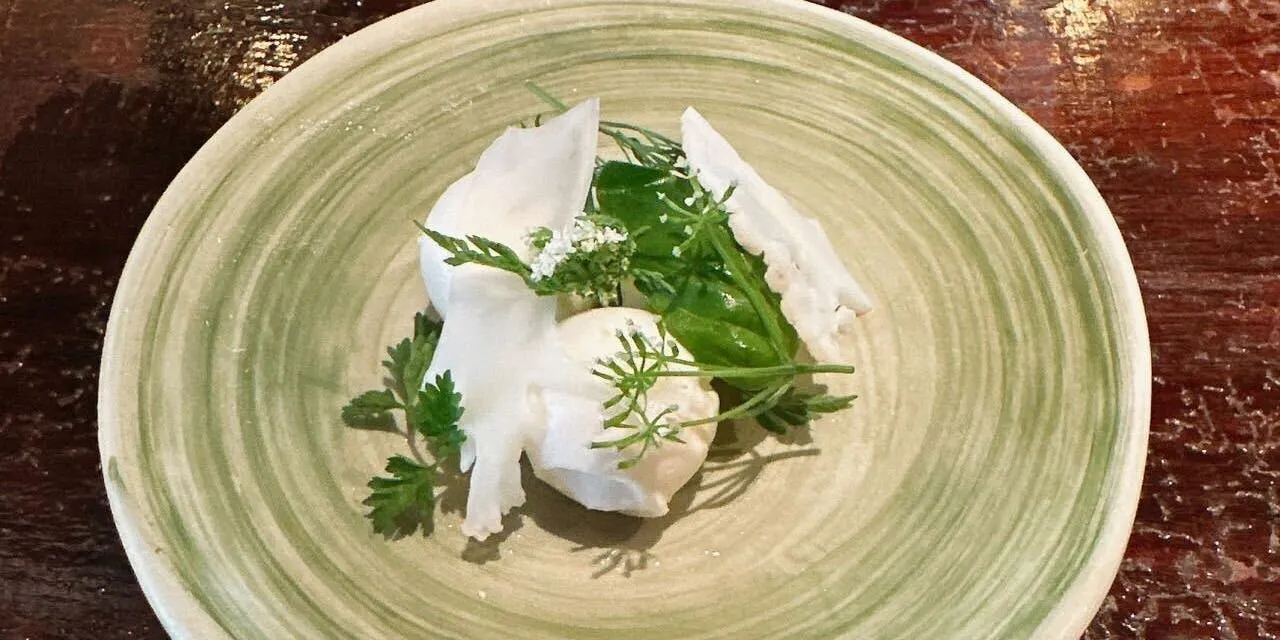 ワイン食堂 根