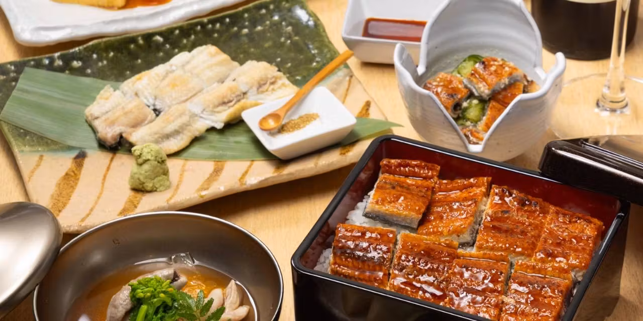 【国産うなぎ尽くしコース】白焼き、肝吸い、山椒焼き、特選鰻重など全7品