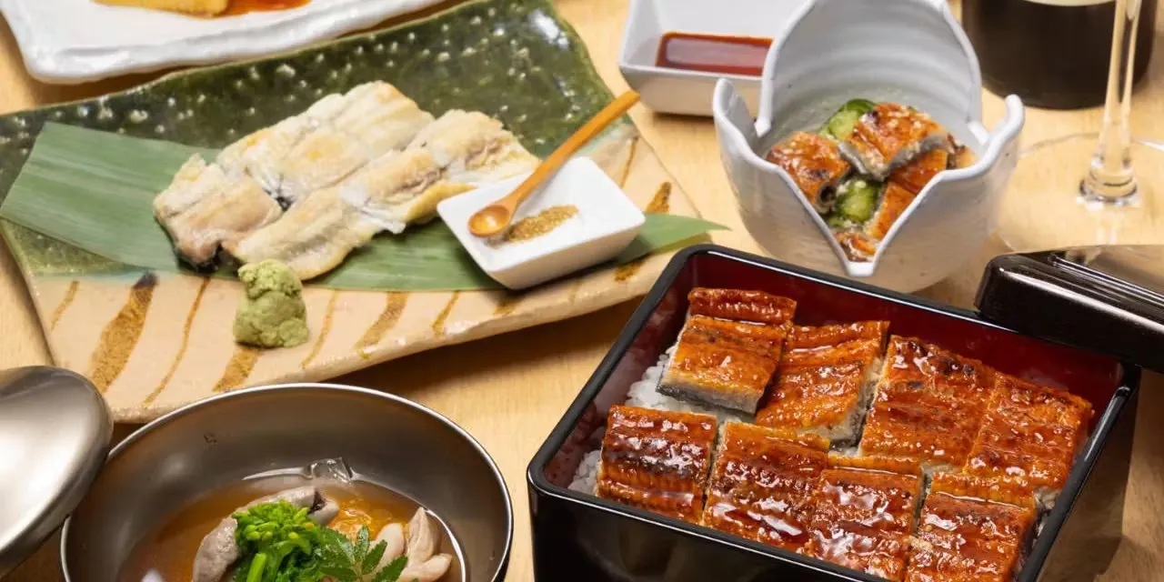 【国産うなぎ尽くしコース】白焼き、肝吸い、山椒焼き、特選鰻重など全7品