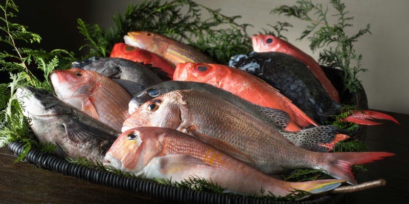 【季節美饌＜二＞】時令家常菜、生魚片、時令料理等推薦