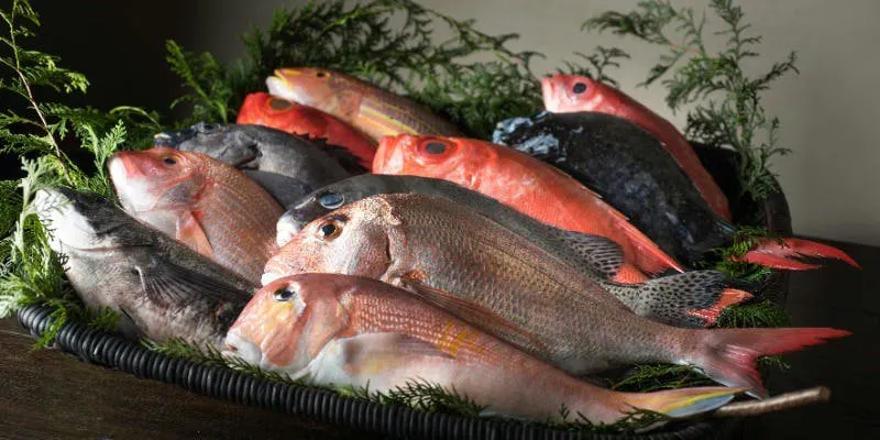 【季節美饌<二>】時令家常菜、生魚片、時令料理等推薦