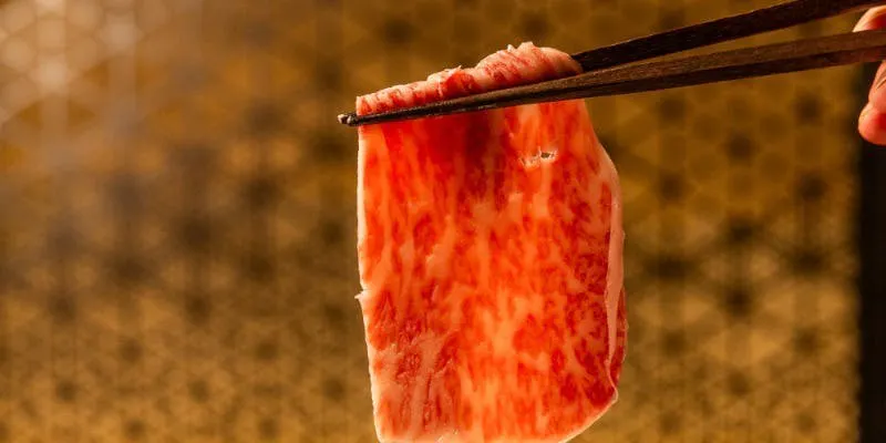 【샤부샤부 냄비 코스】<흑모 와규>사로인과 로스를 맛보다