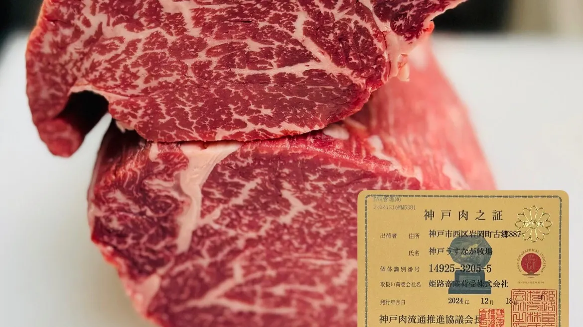 【纯但马薄长牛菲力牛排】生鱼片、天妇罗、纯但马薄长牛菲力100g炭火烤、米饭类等共7品