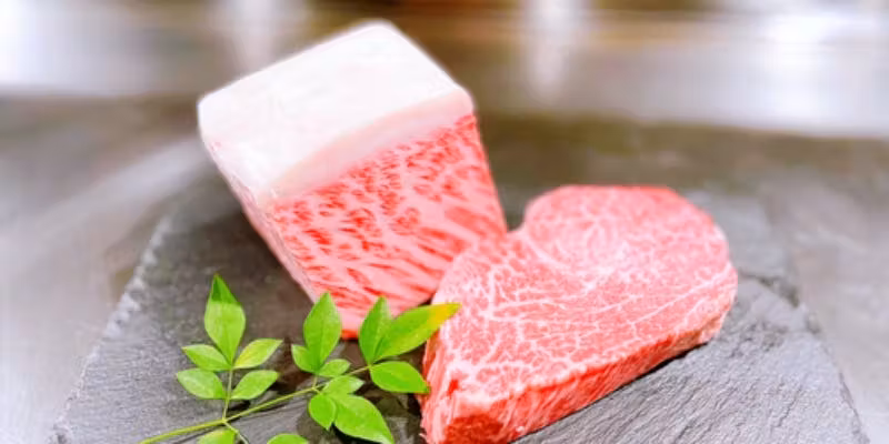 【スタンダードコース】前菜2皿、本日の魚、焼き野菜8種、黒毛和牛A5ランク赤身50g＋フィレ50gなど全8品