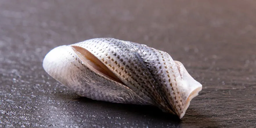 Omakase Course [Yuki]