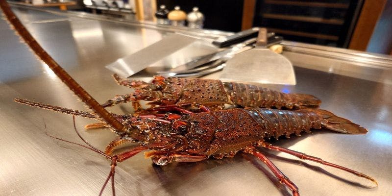 附伊势海老的黑毛和牛西冷套餐 全10品