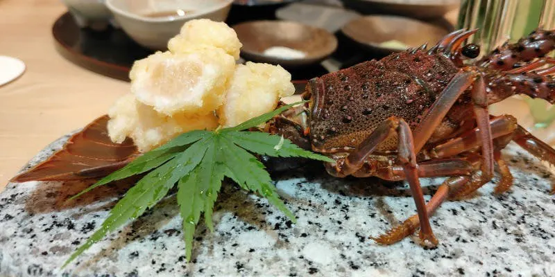 【20,000日元套餐】