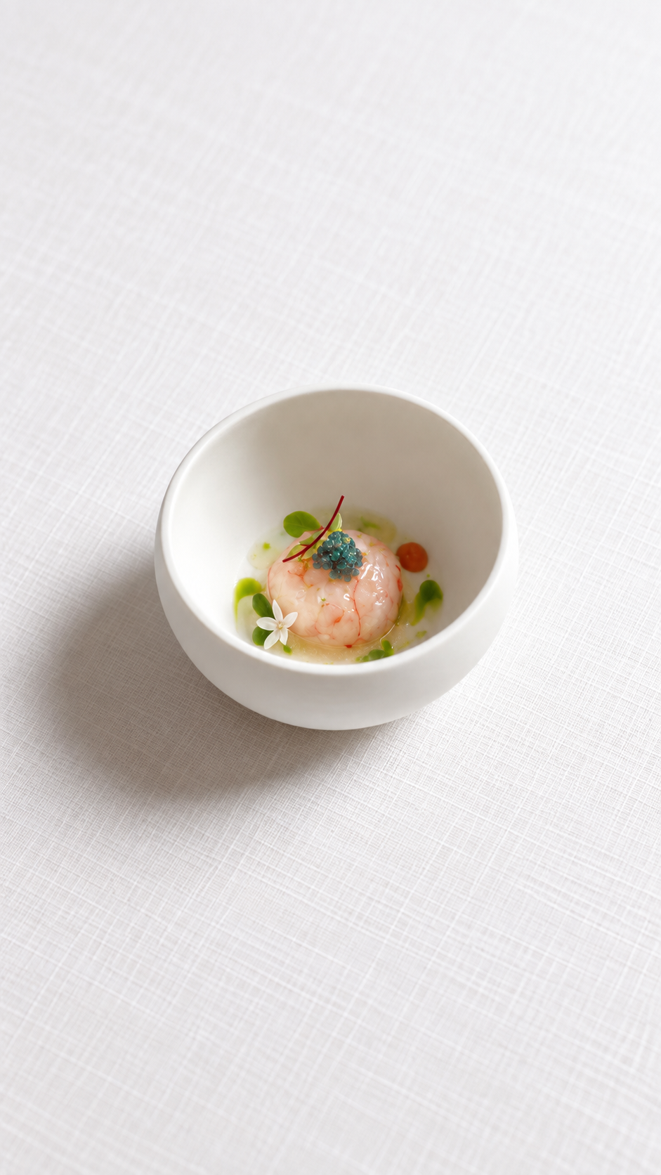 【9/30～11/20】 福井三国湊の甘エビ、三陸の秋刀魚、名物ピーチを味わう秋のお任せコース全10皿　