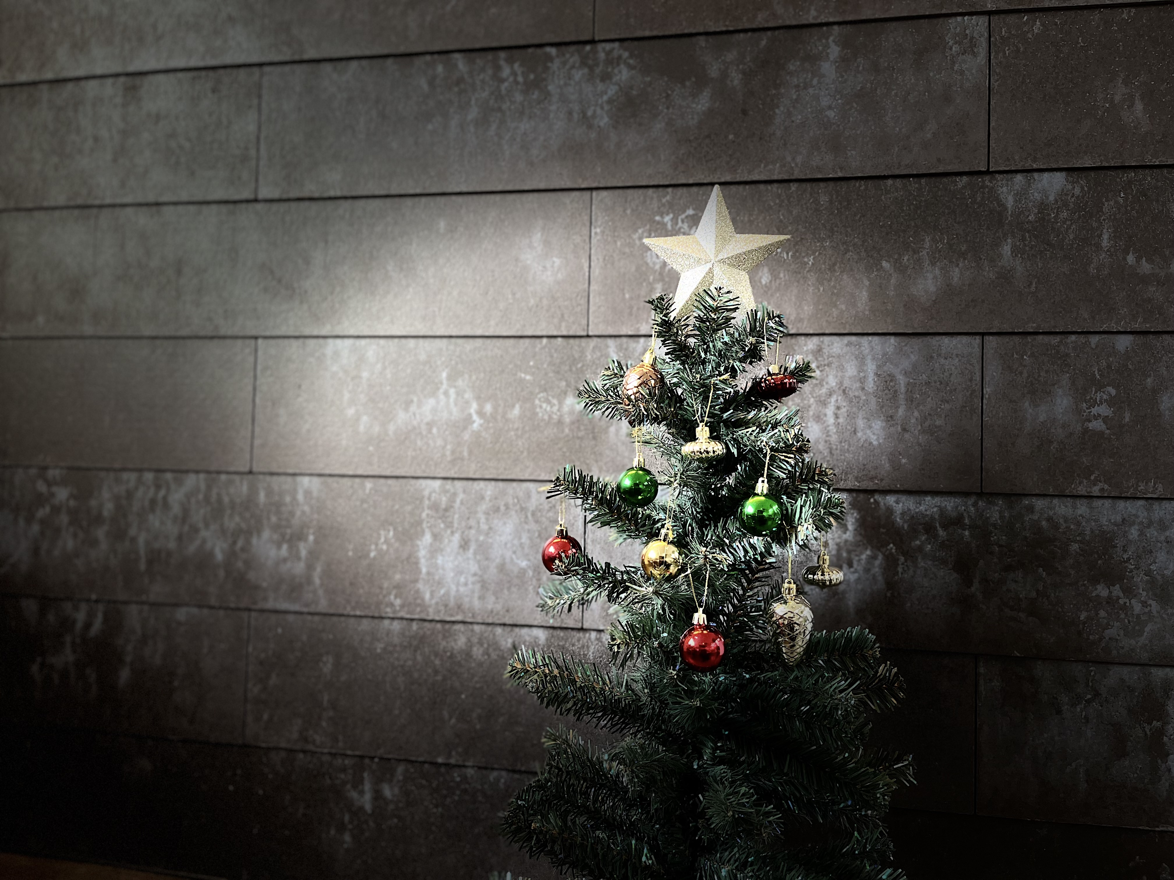 ペアリング付き　12品Ｘ‘masおまかせコース(12/22〜12/26)