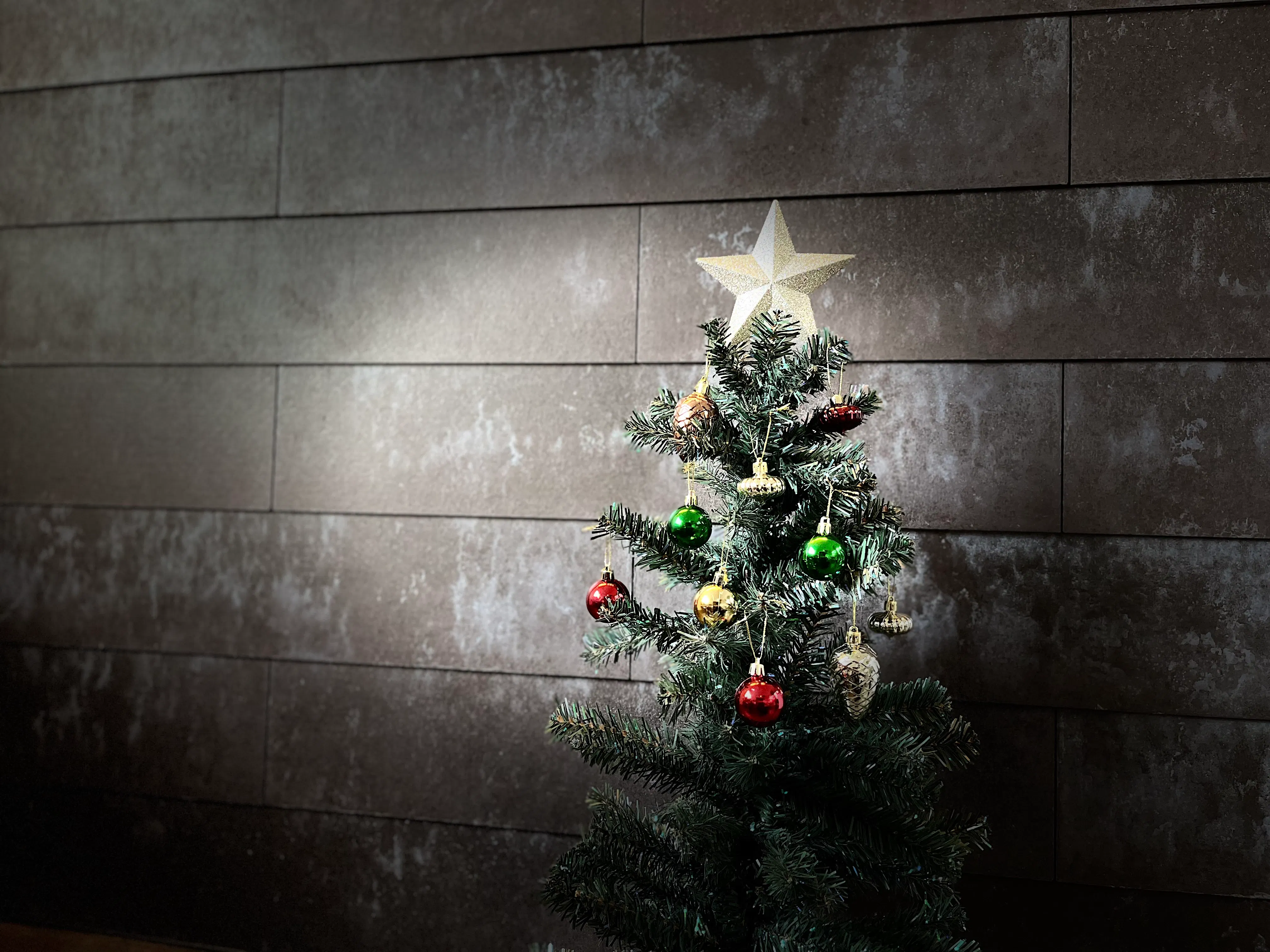 ペアリング付き 12品X‘masおまかせコース(12/22〜12/26)