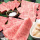 Omi Special Course