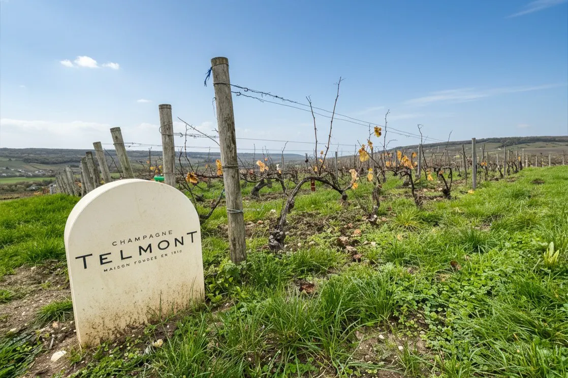 [July 24 Only] TELMONT Maker's Dinner