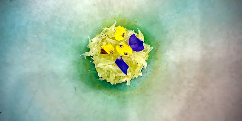 selvatico anniversary course