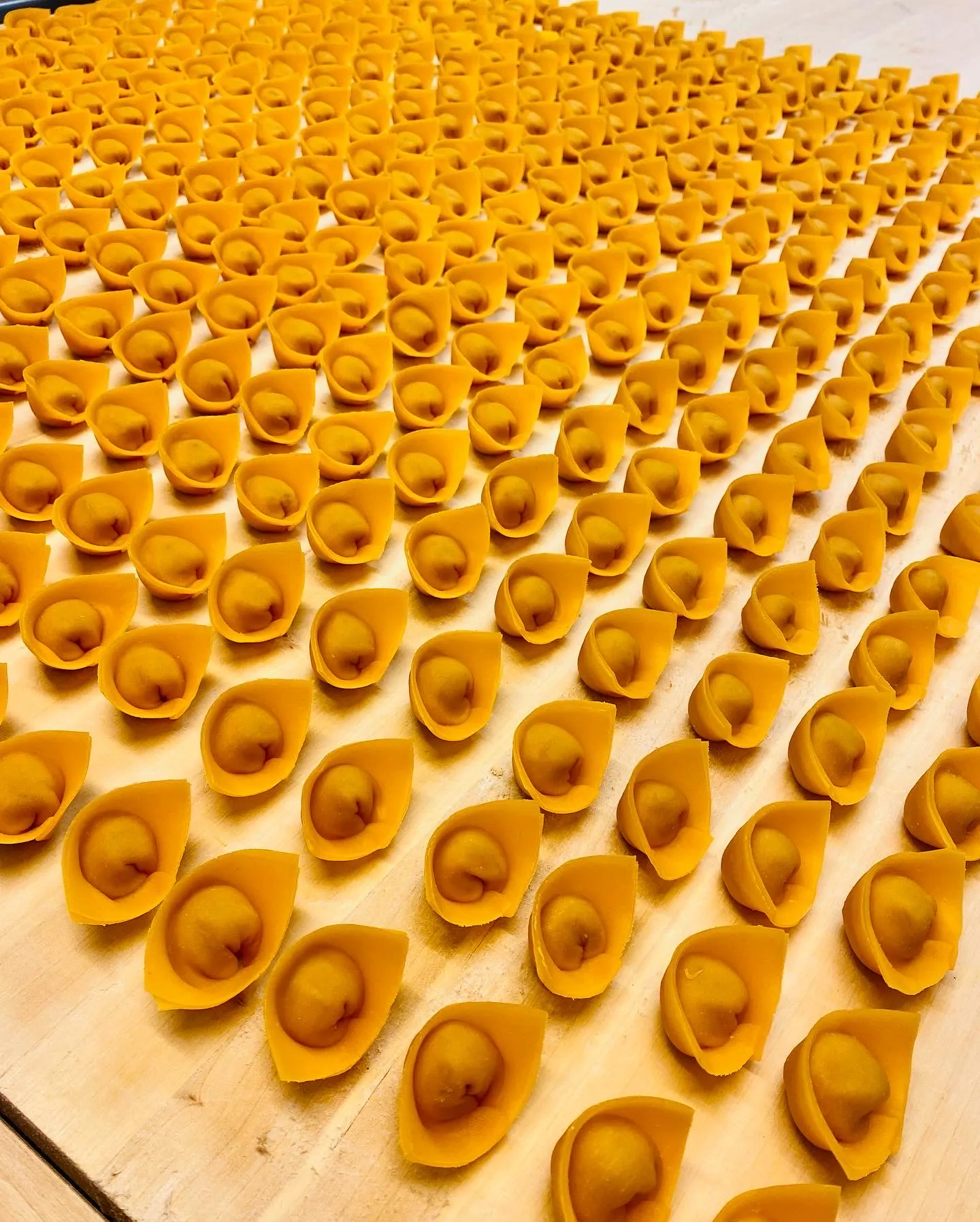 【Special Full Course】"La via dell arte ‥ The Path of Art" Approximately 11 dishes