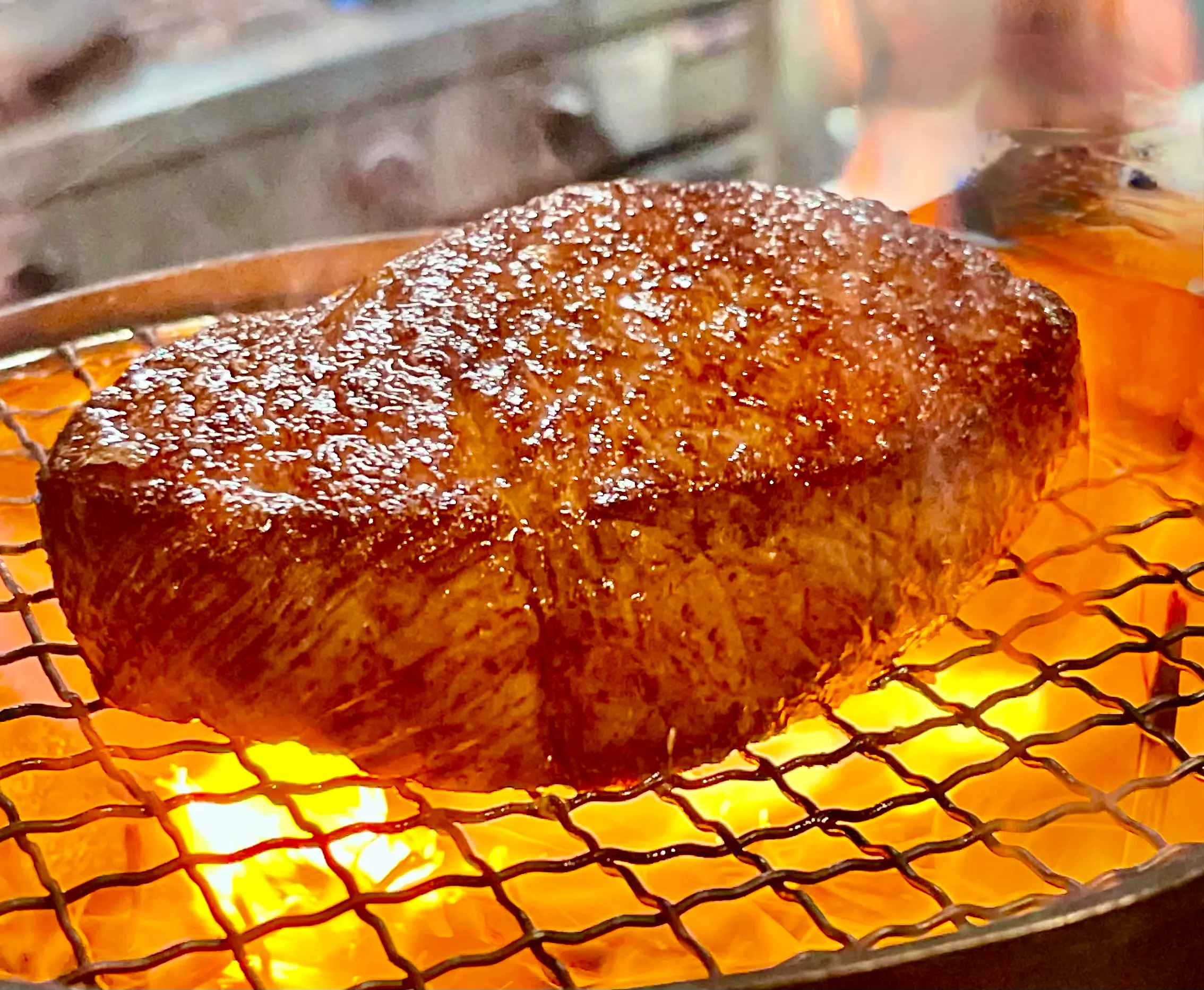 特別ランチプラン