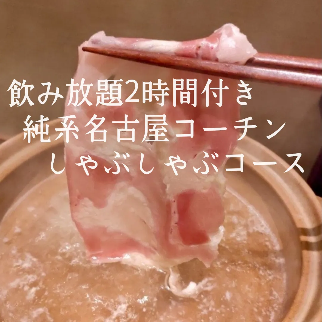飲み放題2時間付き純系名古屋コーチン尽くし+しゃぶしゃぶコース