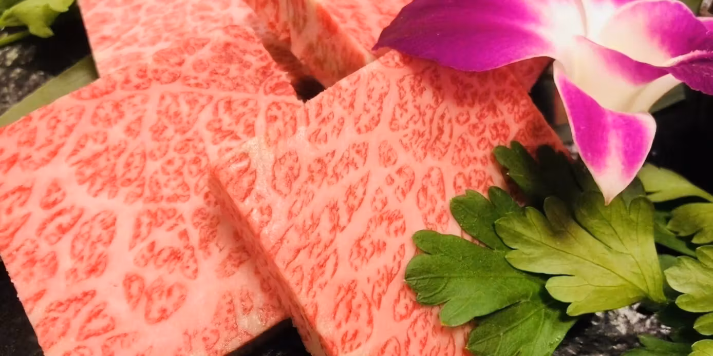 Our most popular choice! 【Premium Selected Black Wagyu Beef Course】 A full 11-item plan featuring exquisite dishes such as premium salted tongue, premium fillet, and premium loin.