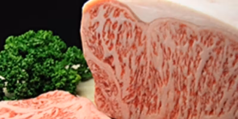When it comes to Tamaki, this is it! [Creative Meat Course] A luxurious 12-dish plan carefully selected by our chef, featuring Wagyu fatty tuna seared sushi and seared green onion tongue.