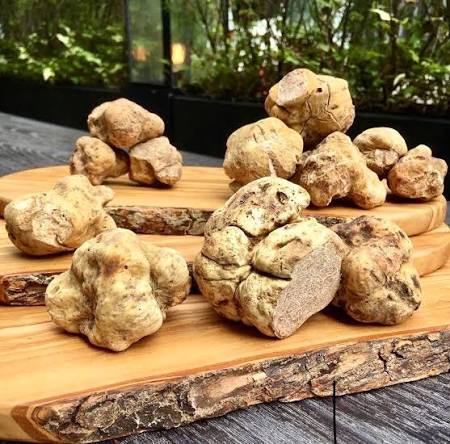 Dinner Exclusive: Finest White Truffle Course, 17 Dishes