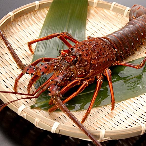 Dinner Only: Ise Lobster Course — 17 Dishes