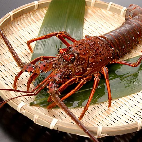 Lunch Exclusive Ise Lobster Course, 12 Dishes