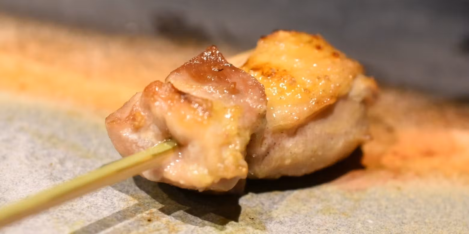 【おまかせコース】当日おすすめの食材を使用した焼き鳥・野菜串 