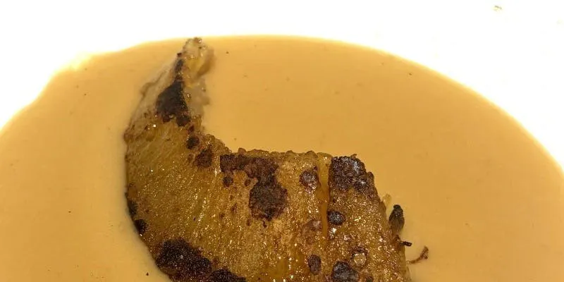 Shark Fin Course [February~]