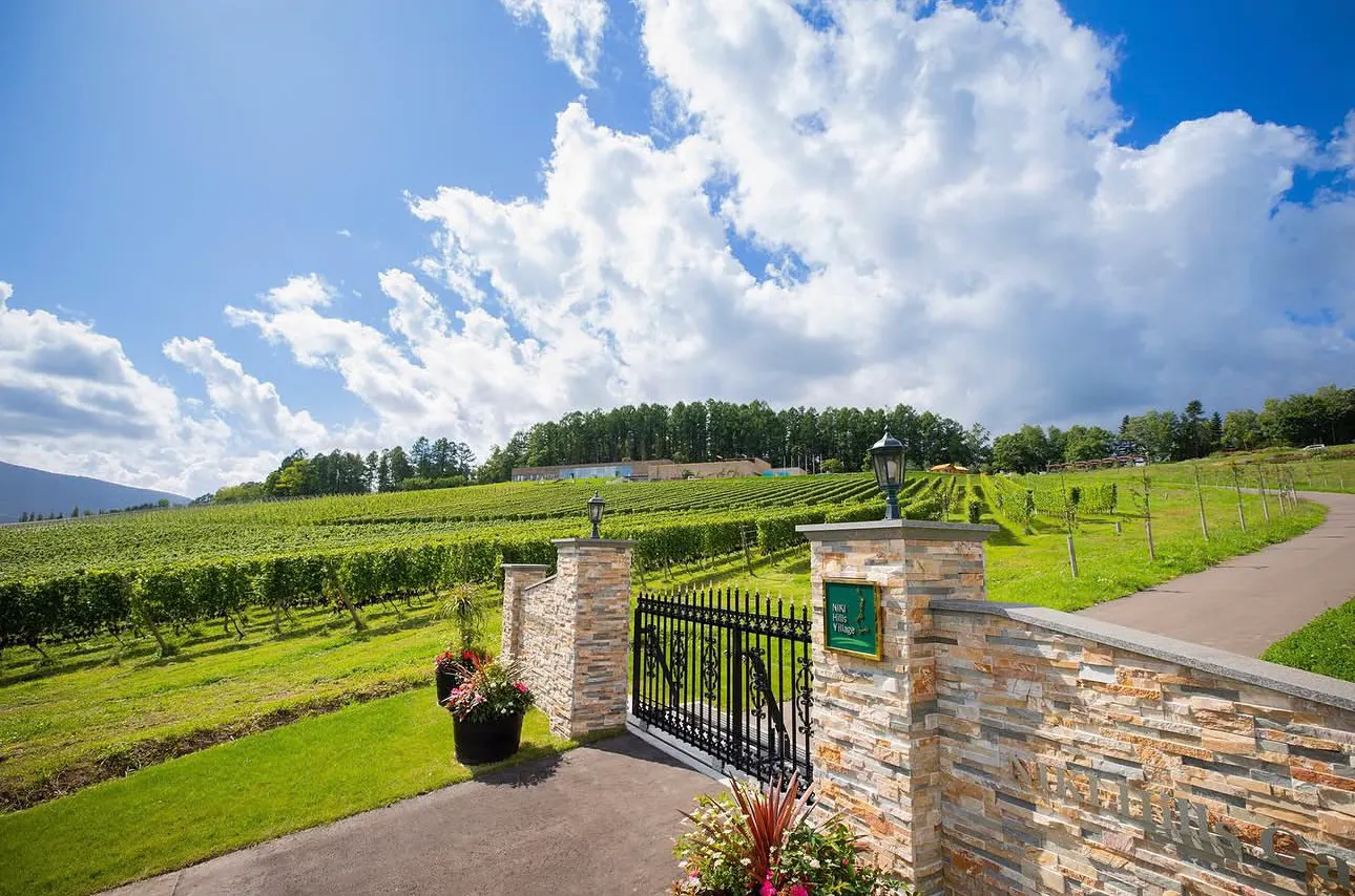 【9月26日限定】NIKI Hills Winery联名特别配对套餐~仁木之丘 白金之庭~