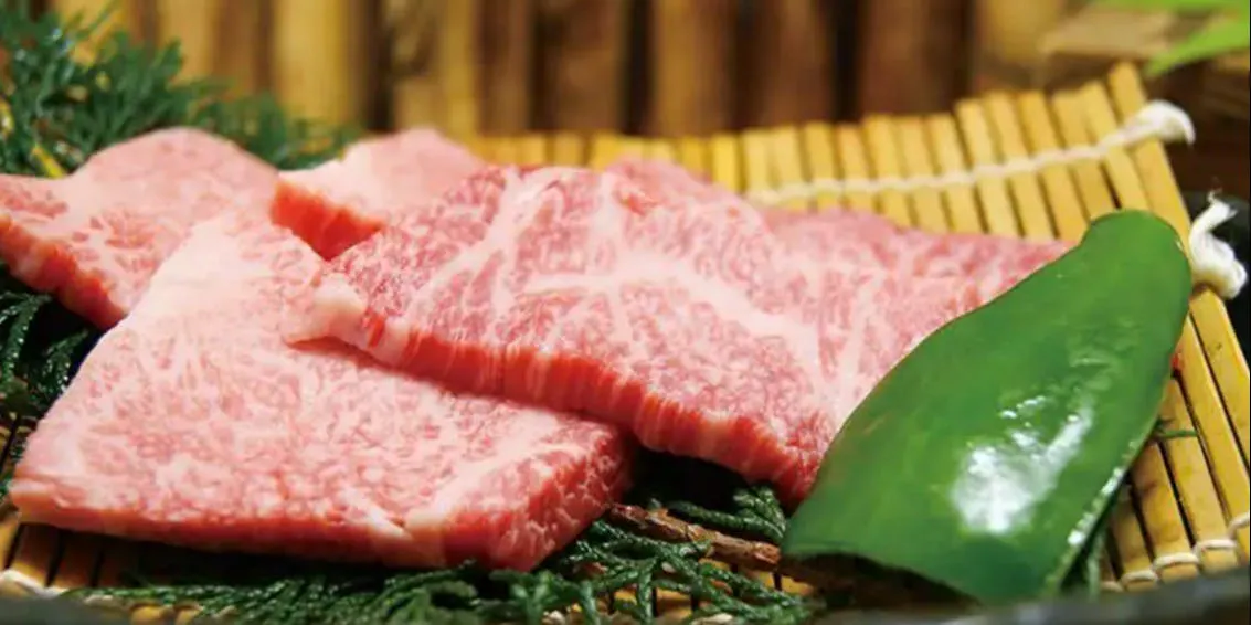 はや 泉州の郷