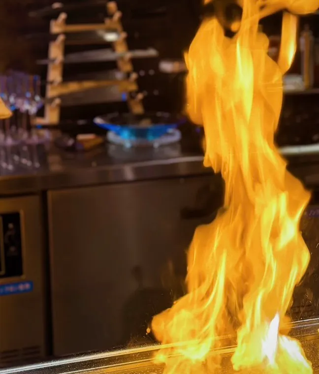 Teppanyaki ginhikari