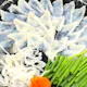 【平日限定】おまかせ会席 4,000円