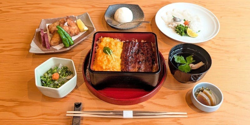 新品登场纪念活动 7/6～9/15　大宫店限定【鳗鱼重・河豚MIX】黄金玄鳗（げんまん）套餐　共7道菜