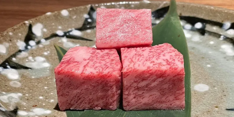 黑毛和牛「三河牛」品嚐套餐與名古屋土雞課程,附120分鐘喝到飽
