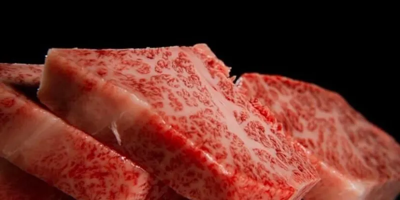 Wagyu teppanyaki steak house Nishiki 雅