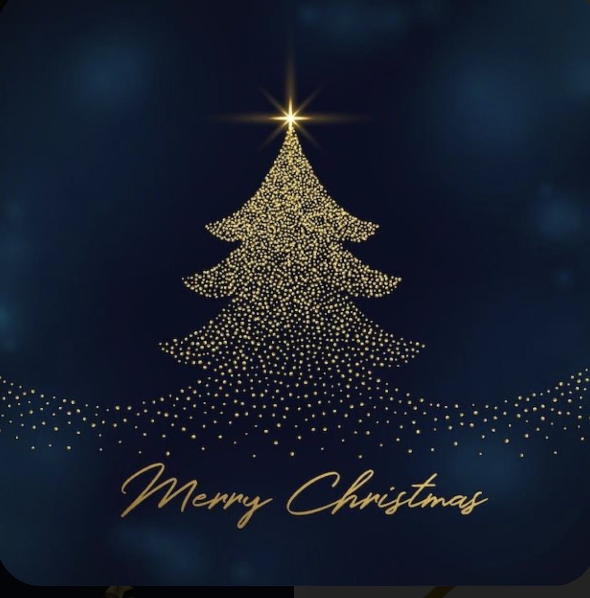 クリスマスコース