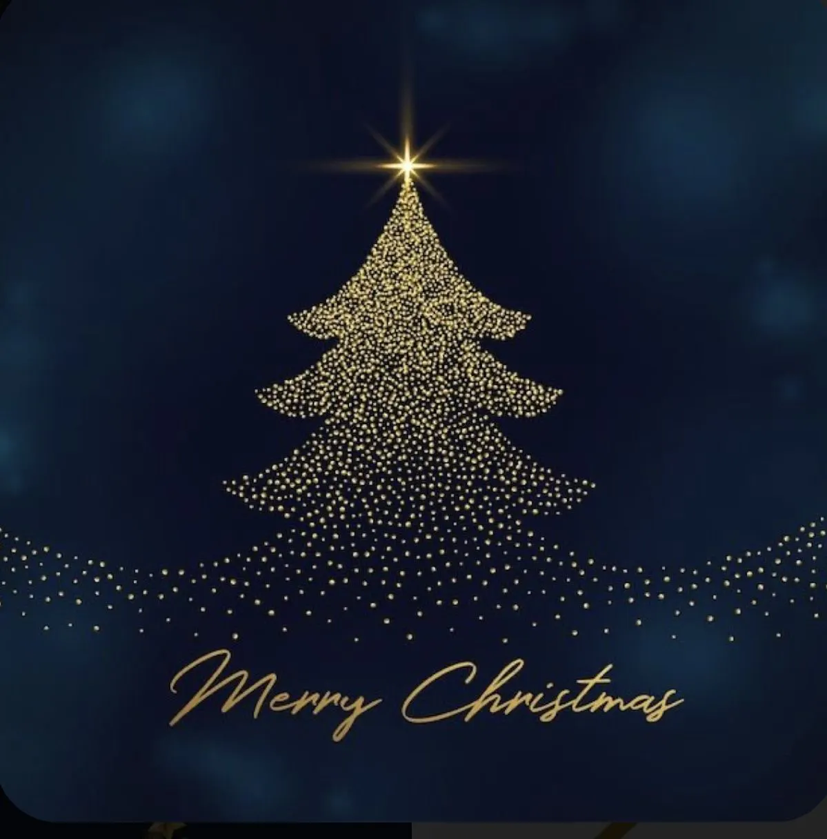 クリスマスコース
