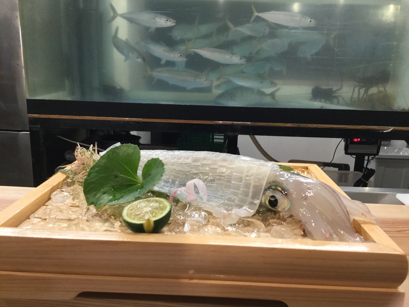 【主廚推薦套餐 時價 14,300日圓～】採用當季食材的和食料理　※請確認注意事項※