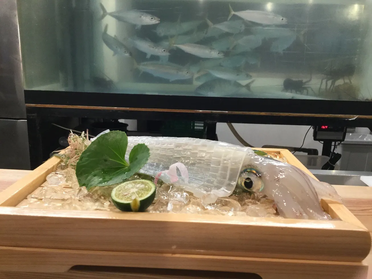 【主廚推薦套餐 時價 14,300日圓～】採用當季食材的和食料理　※請確認注意事項※