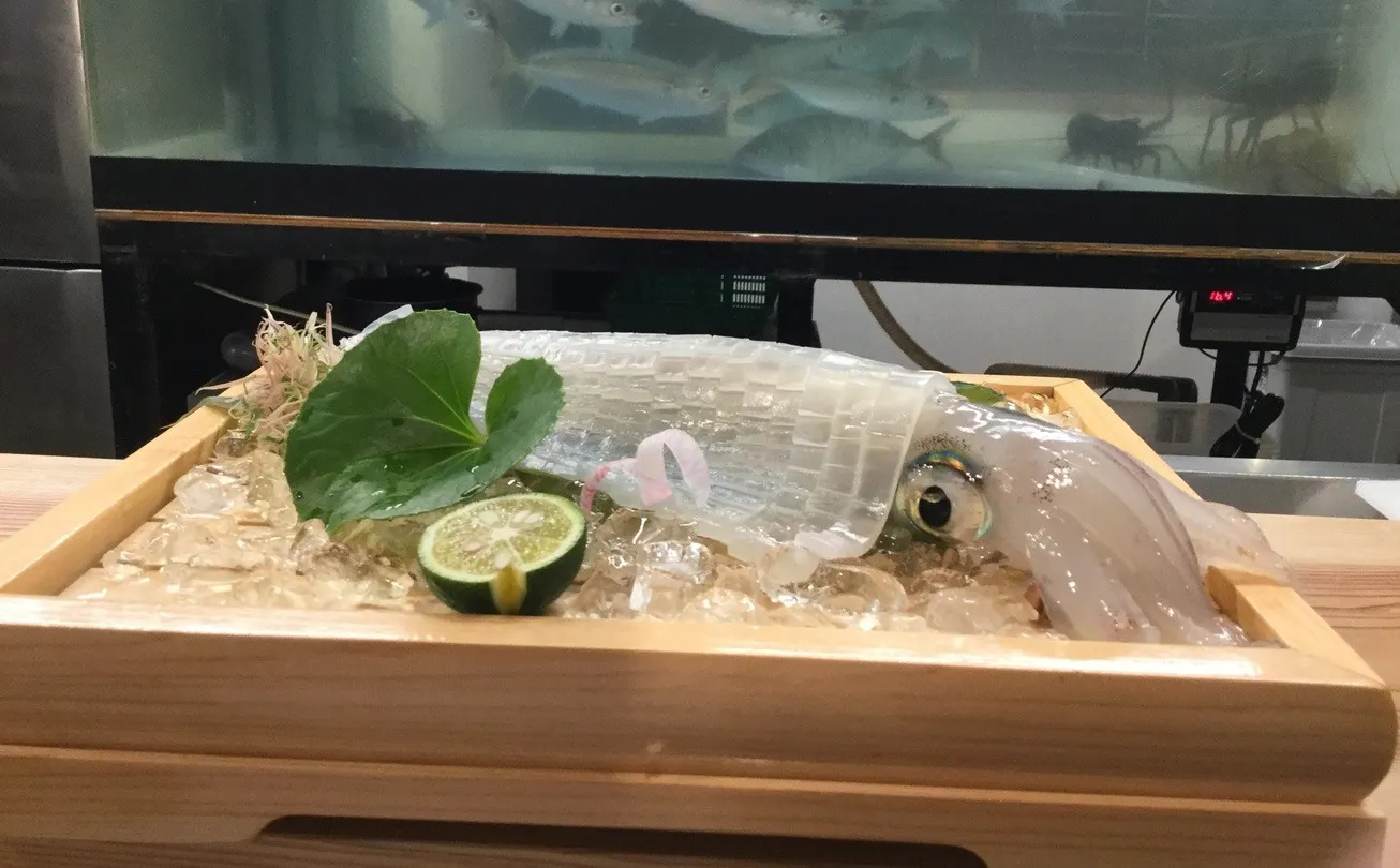 鯖とか烏賊とか真とか