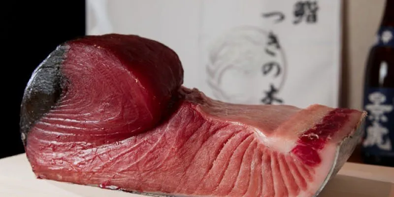【¥8,800 Course】A luxurious selection of 16 dishes including fresh sashimi and 8 pieces of sushi