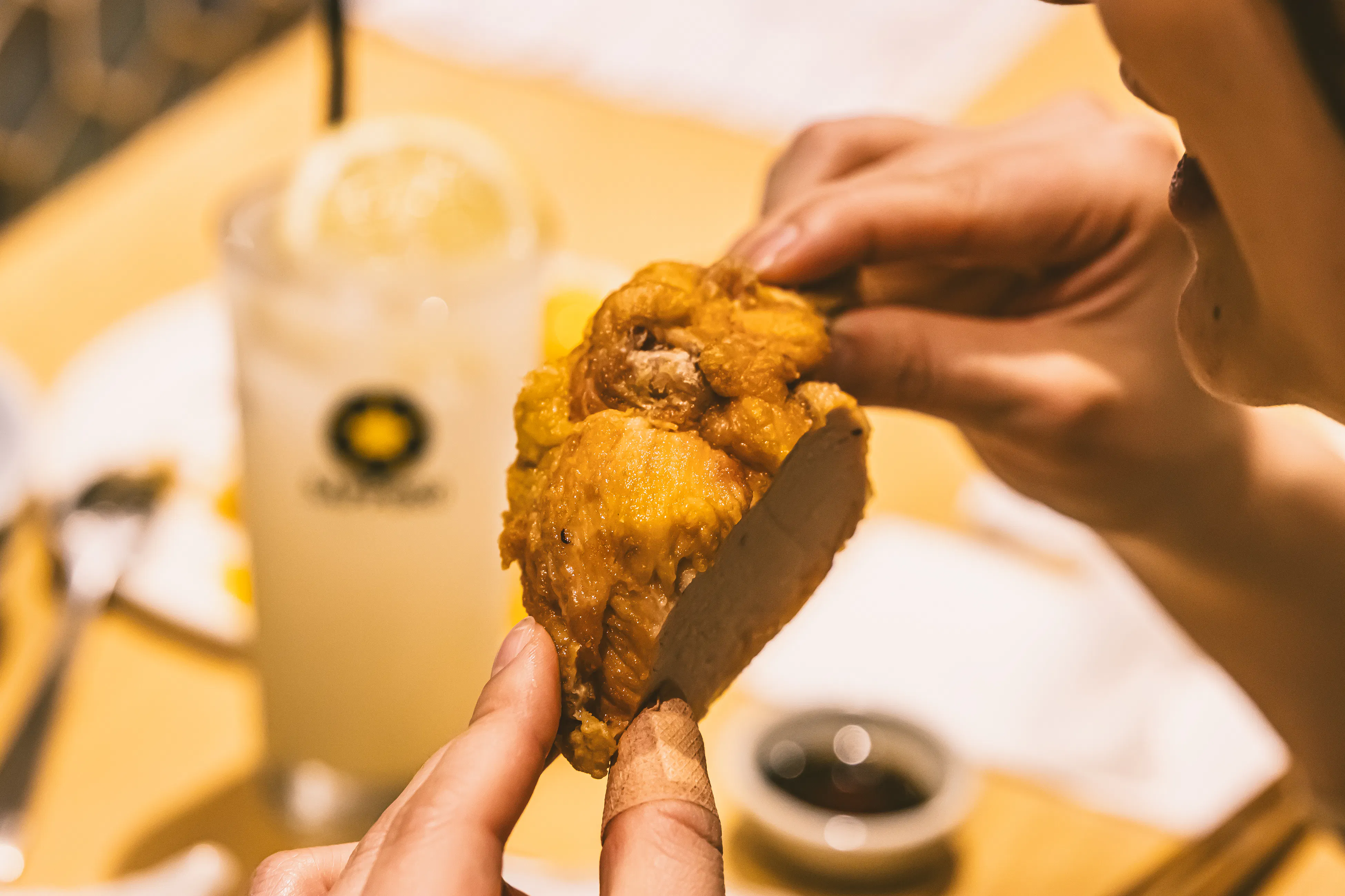 丸鶏料理と濃厚水炊き鍋 鳥肌