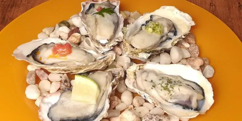 Fully Satisfied! A Luxurious Special Course Packed with Oysters